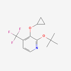 2-Tert-butoxy-3-cyclopropoxy-4-(trifluoromethyl)pyridine