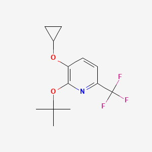 2-Tert-butoxy-3-cyclopropoxy-6-(trifluoromethyl)pyridine