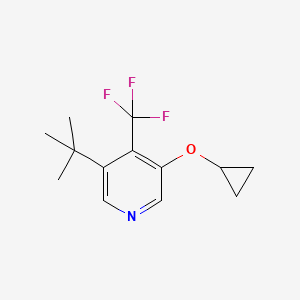 molecular formula C13H16F3NO B14842785 3-Tert-butyl-5-cyclopropoxy-4-(trifluoromethyl)pyridine 