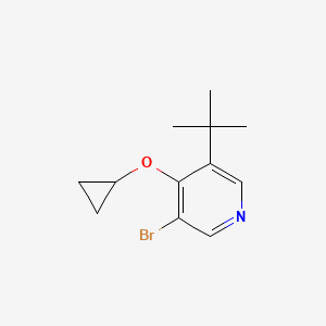 molecular formula C12H16BrNO B14843133 3-Bromo-5-tert-butyl-4-cyclopropoxypyridine 