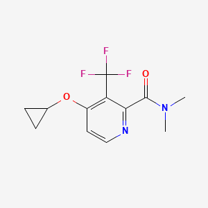 molecular formula C12H13F3N2O2 B14843198 4-Cyclopropoxy-N,N-dimethyl-3-(trifluoromethyl)picolinamide 