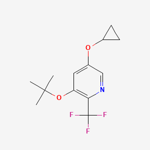 3-Tert-butoxy-5-cyclopropoxy-2-(trifluoromethyl)pyridine