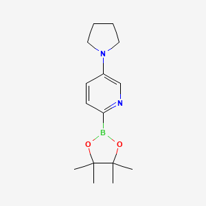 molecular formula C15H23BN2O2 B14845361 5-(Pyrrolidin-1-YL)pyridin-2-ylboronic acid pinacol ester 