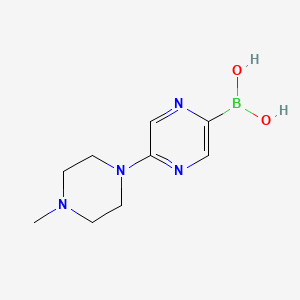 molecular formula C9H15BN4O2 B14845571 5-(4-Methylpiperazin-1-yl)pyrazine-2-boronic acid 