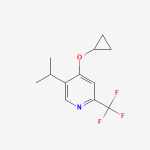 molecular formula C12H14F3NO B14845575 4-Cyclopropoxy-5-isopropyl-2-(trifluoromethyl)pyridine 