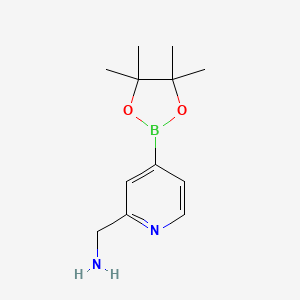 molecular formula C12H19BN2O2 B14846229 (4-(4,4,5,5-Tetramethyl-1,3,2-dioxaborolan-2-YL)pyridin-2-YL)methanamine 