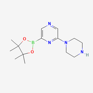 molecular formula C14H23BN4O2 B14846531 6-(Piperazin-1-yl)pyrazine-2-boronic acid pinacol ester 