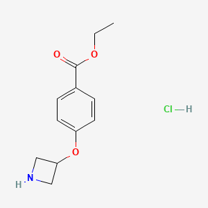 molecular formula C12H16ClNO3 B14847215 4-(Azetidin-3-yloxy)-benzoic acid ethyl ester hcl 