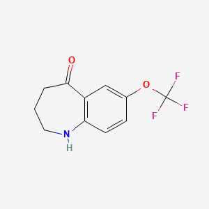 molecular formula C11H10F3NO2 B14847831 7-Trifluoromethoxy-1,2,3,4-tetrahydrobenzo[b]azepin-5-one 