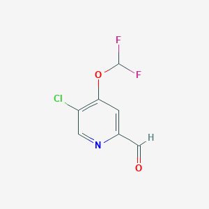 molecular formula C7H4ClF2NO2 B1484794 5-Chloro-4-(difluoromethoxy)picolinaldehyde CAS No. 1807265-74-2