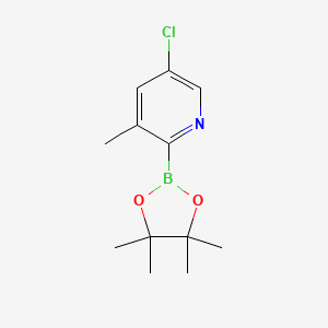 5-Chloro-3-methylpyridine-2-boronic acid pinacol ester