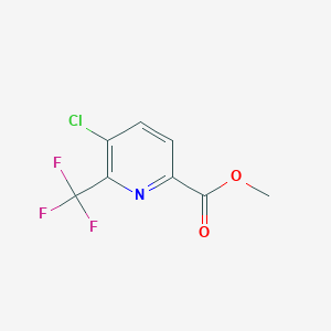 molecular formula C8H5ClF3NO2 B14849163 Methyl 5-chloro-6-(trifluoromethyl)picolinate 