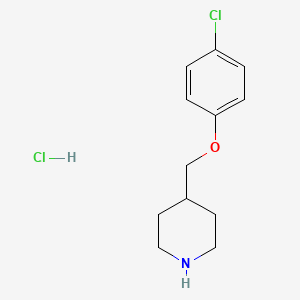 molecular formula C12H17Cl2NO B1484991 4-[(4-氯苯氧基)甲基]哌啶盐酸盐 CAS No. 553631-64-4