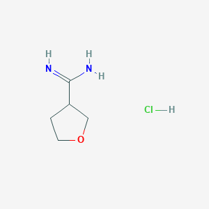 Oxolane-3-carboximidamide hydrochloride
