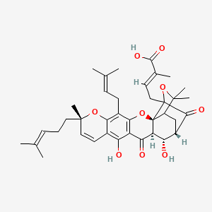 molecular formula C38H46O9 B14851492 (E)-4-[(2S,8S,15R,16S,17S)-12,16-dihydroxy-8,21,21-trimethyl-5-(3-methylbut-2-enyl)-8-(4-methylpent-3-enyl)-14,18-dioxo-3,7,20-trioxahexacyclo[15.4.1.02,15.02,19.04,13.06,11]docosa-4(13),5,9,11-tetraen-19-yl]-2-methylbut-2-enoic acid 