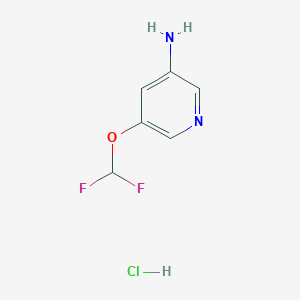 molecular formula C6H7ClF2N2O B14851661 5-(Difluoromethoxy)pyridin-3-amine hydrochloride 