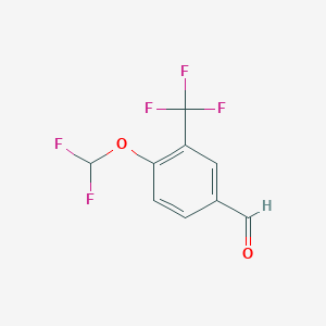 molecular formula C9H5F5O2 B14851669 4-Difluoromethoxy-3-(trifluoromethyl)benzaldehyde 