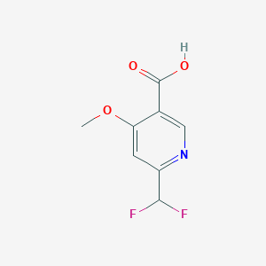 2-(Difluoromethyl)-4-methoxypyridine-5-carboxylic acid