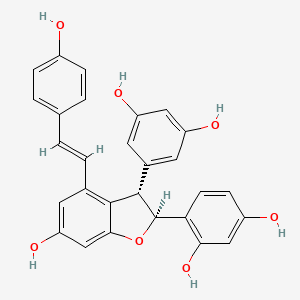 molecular formula C28H22O7 B14853135 Gnetin D 