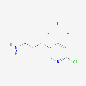 molecular formula C9H10ClF3N2 B14853531 3-(6-Chloro-4-(trifluoromethyl)pyridin-3-yl)propan-1-amine 