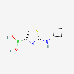 molecular formula C7H11BN2O2S B14854357 2-(Cyclobutylamino)thiazole-4-boronic acid 