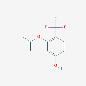 molecular formula C10H11F3O2 B14854413 3-Isopropoxy-4-(trifluoromethyl)phenol 