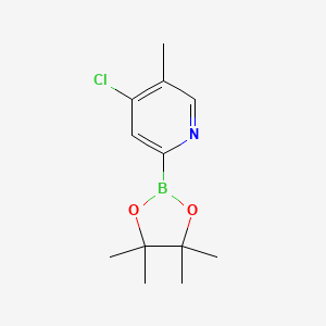 molecular formula C12H17BClNO2 B14854467 (4-Chloro-5-methylpyridin-2-YL)boronic acid pinacol ester 