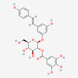 [(2S,3R,4S,5S,6R)-4,5-dihydroxy-2-[3-hydroxy-5-[(E)-2-(4-hydroxyphenyl)ethenyl]phenoxy]-6-(hydroxymethyl)oxan-3-yl] 3,4,5-trihydroxybenzoate