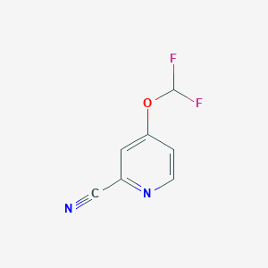 molecular formula C7H4F2N2O B14854815 4-(Difluoromethoxy)picolinonitrile 