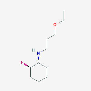 molecular formula C11H22FNO B1485808 (1R,2R)-N-(3-ethoxypropyl)-2-fluorocyclohexan-1-amine CAS No. 2165946-32-5