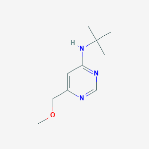 molecular formula C10H17N3O B1485894 N-tert-butyl-6-(methoxymethyl)pyrimidin-4-amine CAS No. 1876219-55-4