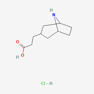 molecular formula C10H18ClNO2 B1485935 Acide 3-{8-azabicyclo[3.2.1]octan-3-yl}propanoïque chlorhydrate CAS No. 2097969-68-9