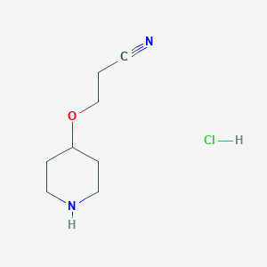 molecular formula C8H15ClN2O B1486083 3-(4-Piperidinyloxy)propanenitrile hydrochloride CAS No. 2206966-17-6