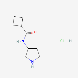 N-(3-Pyrrolidinyl)cyclobutanecarboxamide hydrochloride