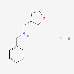 molecular formula C12H18ClNO B1486154 N-Benzyl(tetrahydro-3-furanyl)methanamine hydrochloride CAS No. 2204054-51-1