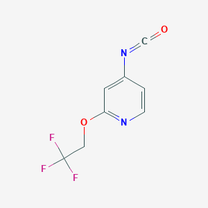 molecular formula C8H5F3N2O2 B14861675 4-Isocyanato-2-(2,2,2-trifluoroethoxy)pyridine CAS No. 1260664-65-0