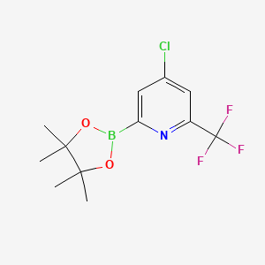 molecular formula C12H14BClF3NO2 B14861854 4-Chloro-2-(4,4,5,5-tetramethyl-1,3,2-dioxaborolan-2-YL)-6-(trifluoromethyl)pyridine 