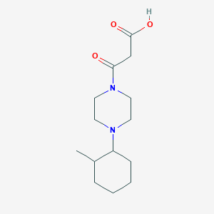 molecular formula C14H24N2O3 B1486207 3-[4-(2-Methylcyclohexyl)-1-piperazinyl]-3-oxopropanoic acid CAS No. 2203071-27-4
