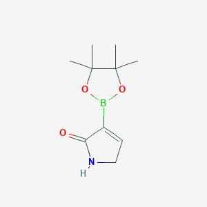 molecular formula C10H16BNO3 B14862639 3-(4,4,5,5-Tetramethyl-1,3,2-dioxaborolan-2-yl)-1,5-dihydro-2H-pyrrol-2-one 