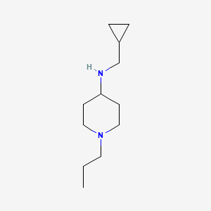 B1486329 N-(cyclopropylmethyl)-1-propylpiperidin-4-amine CAS No. 1019561-26-2