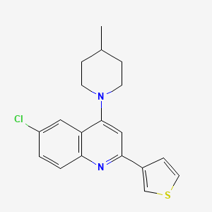 molecular formula C19H19ClN2S B14863755 6-Chloro-4-(4-methylpiperidin-1-yl)-2-(thiophen-3-yl)quinoline 