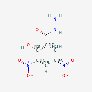 Dnsah-13C6