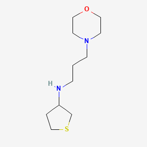 molecular formula C11H22N2OS B1486481 N-[3-(morpholin-4-yl)propyl]thiolan-3-amine CAS No. 416863-76-8