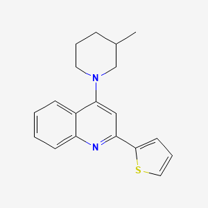 molecular formula C19H20N2S B14864818 4-(3-Methylpiperidin-1-yl)-2-(thiophen-2-yl)quinoline 