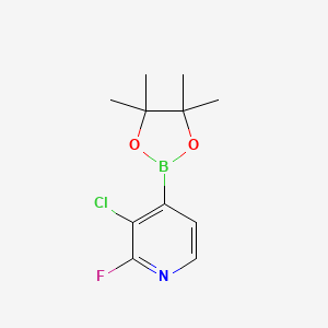 molecular formula C11H14BClFNO2 B1486529 3-氯-2-氟-4-(4,4,5,5-四甲基-1,3,2-二氧杂硼环丁烷-2-基)吡啶 CAS No. 1073353-71-5