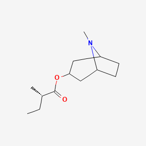 molecular formula C13H23NO2 B14865301 Valtropine 