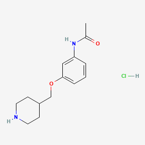 molecular formula C14H21ClN2O2 B1486599 N-[3-(4-哌啶基甲氧基)苯基]乙酰胺盐酸盐 CAS No. 1185173-56-1