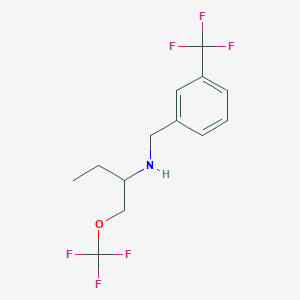 molecular formula C13H15F6NO B14866267 (1-Trifluoromethoxymethyl-propyl)-(3-trifluoromethyl-benzyl)-amine 