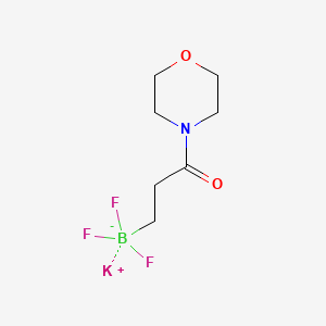 molecular formula C7H12BF3KNO2 B1486668 三氟(3-吗啉-3-氧代丙基)硼酸钾 CAS No. 1150654-74-2