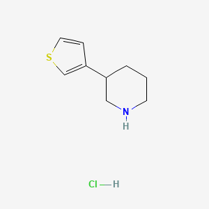 molecular formula C9H14ClNS B1486714 3-(噻吩-3-基)哌啶盐酸盐 CAS No. 1185077-50-2